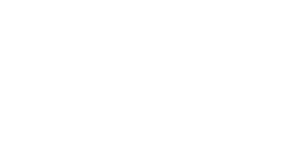 Planet 13 Logo